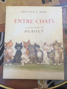 Entre chats
