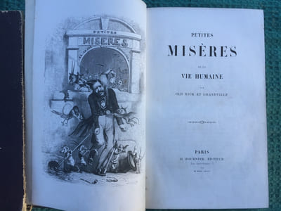 Petites misères de la vie humaine