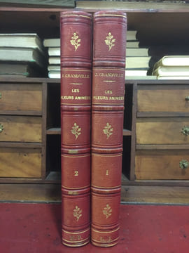 Les Fleurs animées. GRANDVILLE JEAN JACQUES