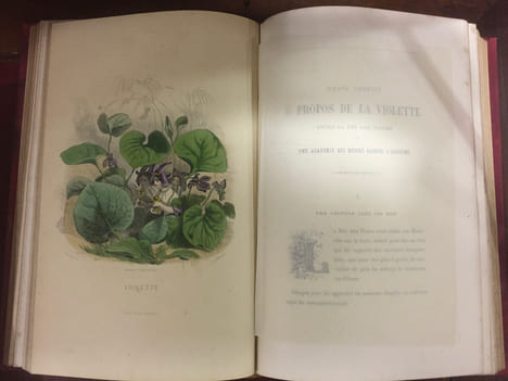 Les Fleurs animées. GRANDVILLE JEAN JACQUES