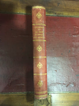 Vie privée et publique des animaux. GRANDVILLE JEAN JACQUES