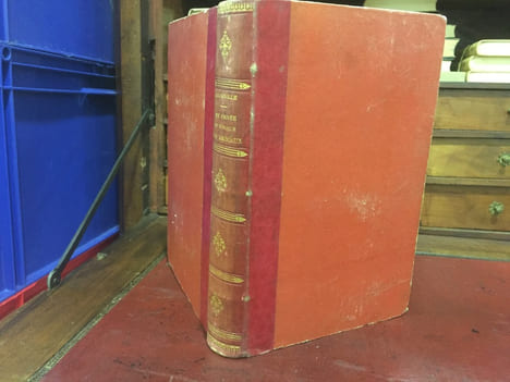 Vie privée et publique des animaux. GRANDVILLE JEAN JACQUES