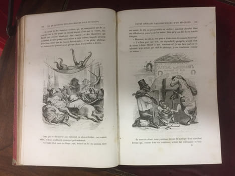Vie privée et publique des animaux. GRANDVILLE JEAN JACQUES