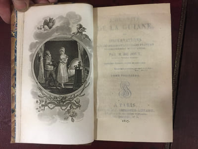 L’Hermite de la Guiane