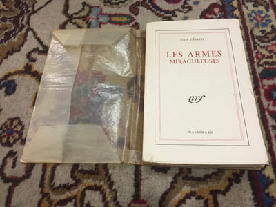 Les Armes miraculeuses