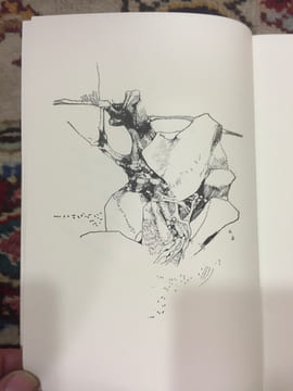 Crânes et Jardins. HADDAD HUBERT