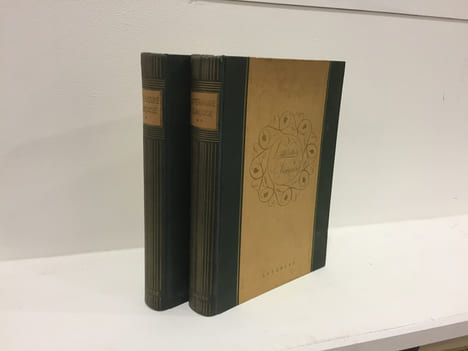 Littérature française 2 volumes. COLLECTIF