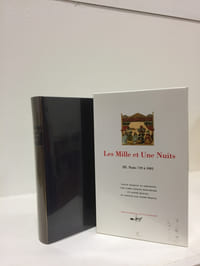Mille et une nuits III, Nuits 719 à 1001