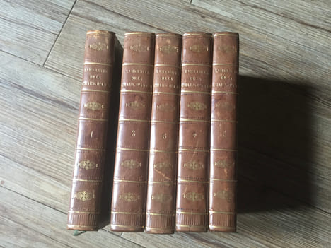L’Hermite de la Chaussée d'Antin.
Observations sur les moeurs et les usages parisiens au commence du XIXème siècle. JOUY VICTOR JOSEPH ETIENNE