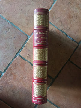 Les Grandes épouses. DE LESCURE MATHURIN FRANCOIS ADOLPHE