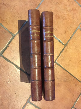 Victor Hugo raconté par un témoin de sa vie. HUGO VICTOR, FOUCHER ADELE