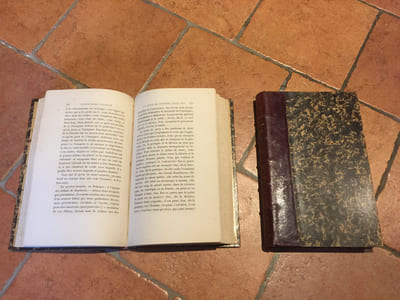 Victor Hugo raconté par un témoin de sa vie