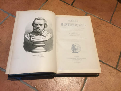 Fleurs historiques. LAROUSSE PIERRE
