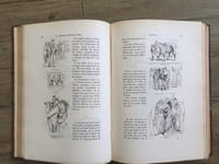 La Vie hors de chez soi