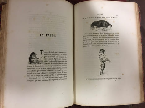 Muséum parisien. HUART LOUIS