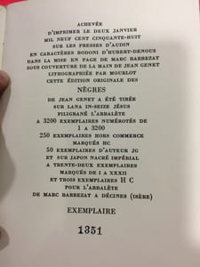 Les nègres

