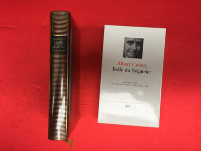 Belle du Seigneur