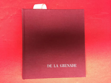 Célébration de la grenade. MOLAINE PIERRE