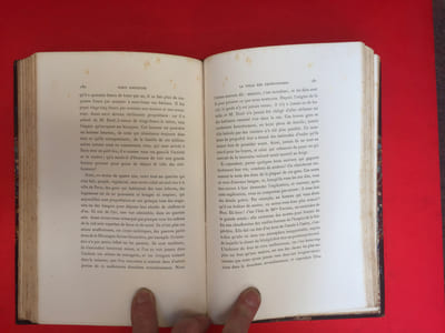 Paris anecdote. Les industries inconnues, La Childebert, les oiseaux de nuit, la villa des chiffonniers, voyage de découverte du boulevard de la courtille par le faubourg du temple, Paris inconnu.