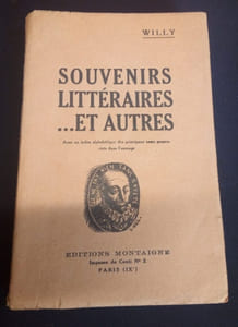 Souvenirs littéraires ... et autres 