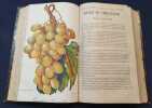  Revue de viticulture - organe de l'agriculture des régions viticoles Publié sous la direction de P. Viala - Tome XXVIII - Quatorzième  année - 1907 ( ...