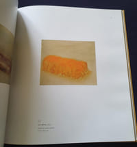 Ziad Dalloul - Catalogue d'Exposition Art Paris 2012