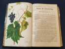  Revue de viticulture - organe de l'agriculture des régions viticoles Publié sous la direction de P. Viala - Tome XXII - Seizième   année - 1909 ( ...