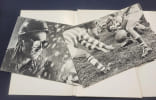 Photolangage - c&eacute;l&eacute;brer la vie  - 1979 - 48 photographies . 