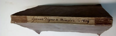 Biographie Lyonnaise - Catalogue des Lyonnais dignes de memoires 
