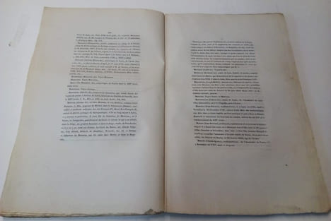 Biographie Lyonnaise - Catalogue des Lyonnais dignes de memoires . Breghot du Lut Pericaud Ainé