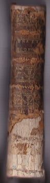 Traité Économique et Physique Des Oiseaux De Basse-cour , Contenant La Description De Ces Oiseaux , La Manière De Les Élever , De Les Multiplier , De ...
