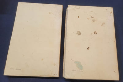 Le vieux Tonkin - Tome 1 1884/1889 et Tome 2 1890/1894