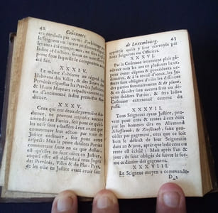 Coutumes Générales des Pays Duché de Luxembourg et Comté de Chiny suivi des Ordonnances et édit perpétuel des Archiducs , nos Princes Souverains .