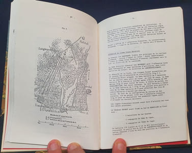 L'Artillerie dans la bataille de froeschwiller - 6 Aout 1870