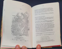 L'Artillerie dans la bataille de froeschwiller - 6 Aout 1870