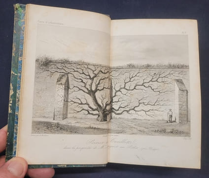 Cours élémentaire théorique et pratique d'arboriculture . M.A. Du Breuil
