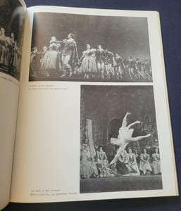 Les ballets du grand théatre de Moscou ( Bolchoi)