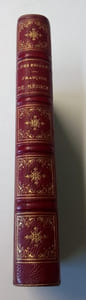 François de Medicis - Roman historique 