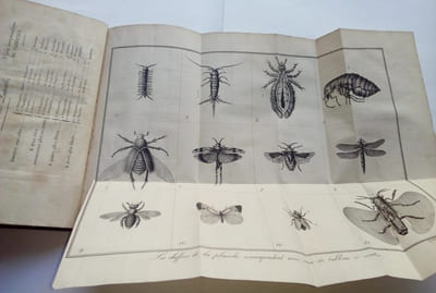 Introduction a l'histoire naturelle des insectes en forme d'entretien 