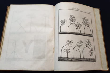 Traité général des eaux et forets , chasses et pèches - Atlas 1ere et 2e partie concernant les foréts - Atlas seul . Baudrillart