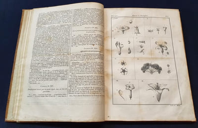 Traité général des eaux et forets , chasses et pèches - Atlas 1ere et 2e partie concernant les foréts - Atlas seul 