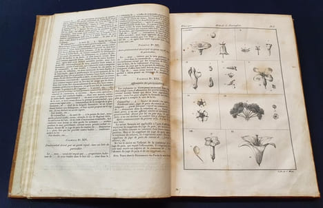 Traité général des eaux et forets , chasses et pèches - Atlas 1ere et 2e partie concernant les foréts - Atlas seul . Baudrillart