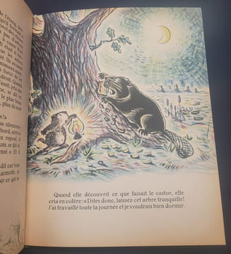 le secret du vieux chène. Wolo