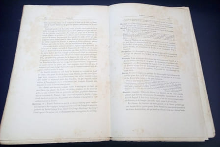 Nouveau dictionnaire des chasses - vocabulaire complet des termes de chasse anciens et modernes dédié à Madame la Duchesse d'Uzès