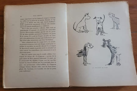Nos Chiens - Louis ( Le débonnaire) Adhémar ( l'incompris) Gaston ( Le Forban ) Jules ( l'écornifleur) Golaud ( Le Sur-Chien )