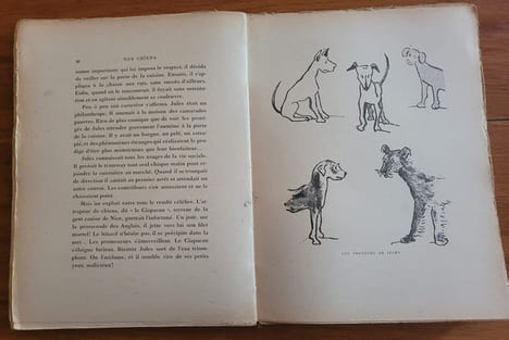 Nos Chiens - Louis ( Le débonnaire) Adhémar ( l'incompris) Gaston ( Le Forban ) Jules ( l'écornifleur) Golaud ( Le Sur-Chien ). LEBLANC Georgette