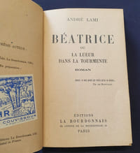 Béatrice ou la lueur dans la tourmente