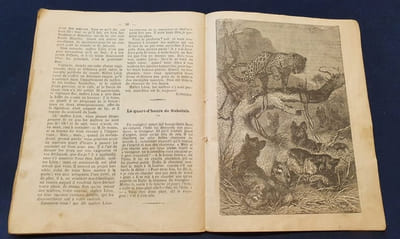 L'étoile des bergers - Almanach moral , historique et récréatif pour l'an de grace 1888