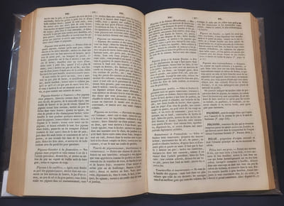 Dictionnaire général de la cuisine Française ancienne et moderne ainsi que de l'office et de la pharmacie domestique , ouvrage ou l'on trouvera toutes les prescriptions nécessaires a la confection des aliments nutritifs ou d'agrément a l'usage des plus grandes et des plus petites fortunes .