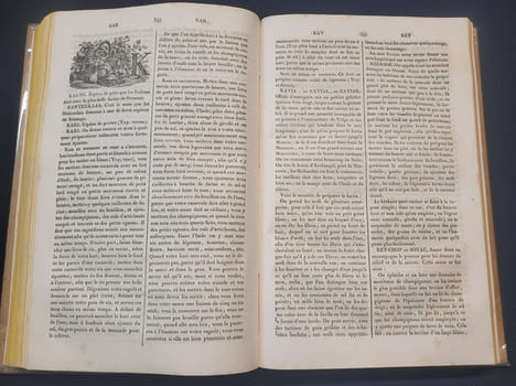 Dictionnaire de cuisine et d'économie ménagère a l'usage des maitres et maitresse de maison , fermiers , maitres-d'hotels , chefs de cuisine , chefs ...